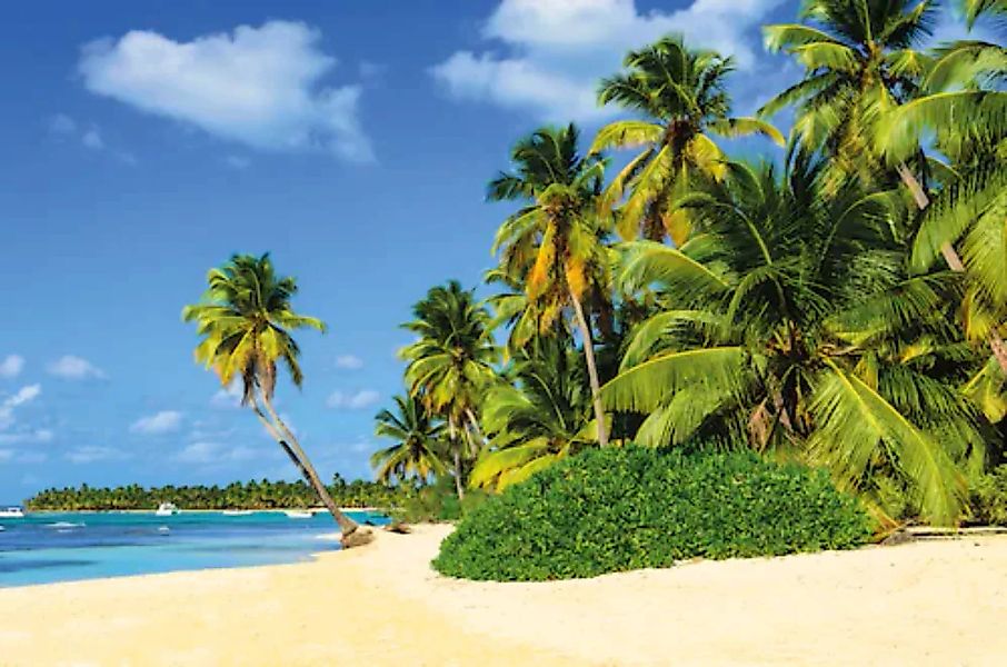 Papermoon Fototapete »Exotic Palm Beach« günstig online kaufen