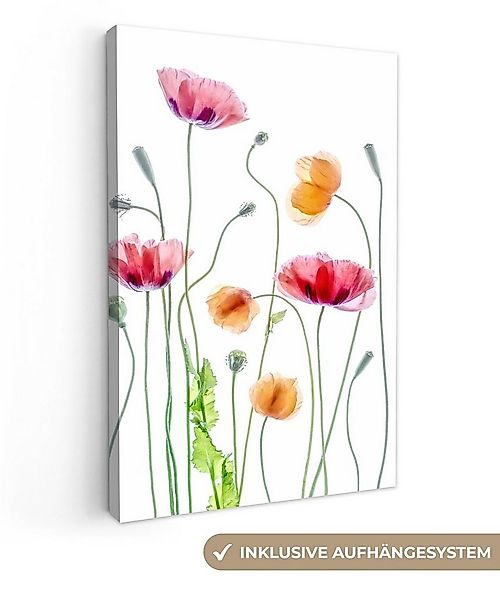 OneMillionCanvasses® Leinwandbild Mohn - Blumen - Frühling - Weiß, Fotodruc günstig online kaufen