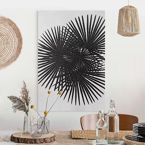 Leinwandbild Palmenfarne in Schwarz-Weiß günstig online kaufen