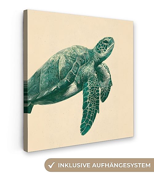 OneMillionCanvasses® Leinwandbild Schildkröte - Elegant - günstig online kaufen