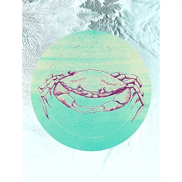 Komar Wandbild Crab Sea Tiere B/L: ca. 30x40 cm günstig online kaufen
