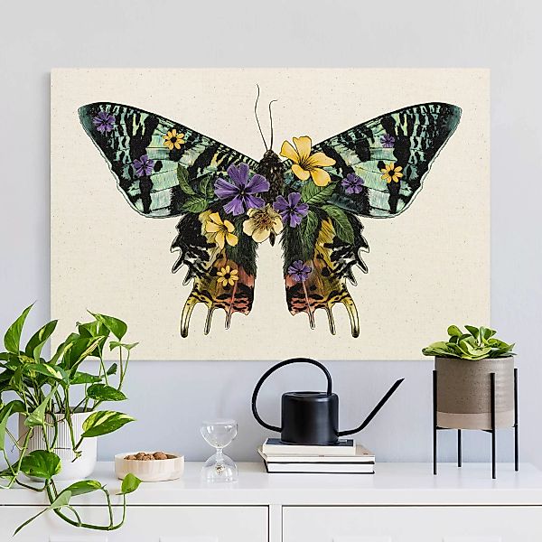 Leinwandbild auf Naturcanvas Illustration floraler Madagaskar Schmetterling günstig online kaufen