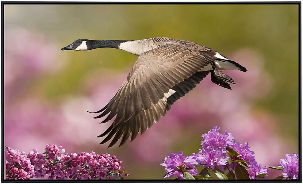 Papermoon Infrarotheizung »Vogel mit Blumen«, sehr angenehme Strahlungswärm günstig online kaufen