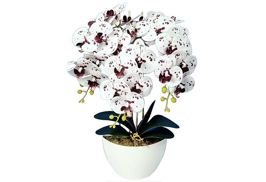 Kunstorchidee Orchidee, damich, Höhe 60 cm, Künstliche Orchidee im Blumento günstig online kaufen