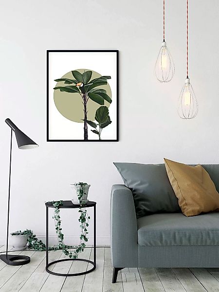Komar Wandbild "Botanical Garden Palmtree", (1 St.), Deutsches Premium-Post günstig online kaufen