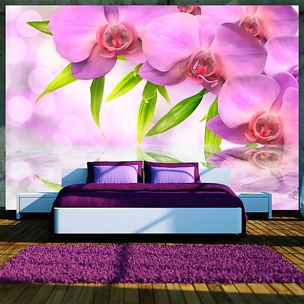 Fototapete - Orchids in lilac colour günstig online kaufen