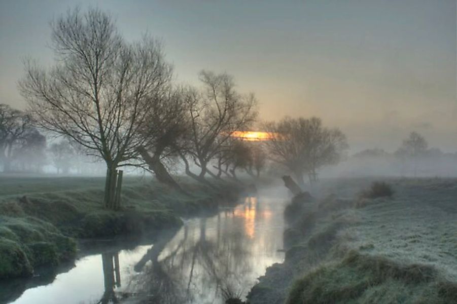 Papermoon Fototapete »Nebel Landschaft« günstig online kaufen