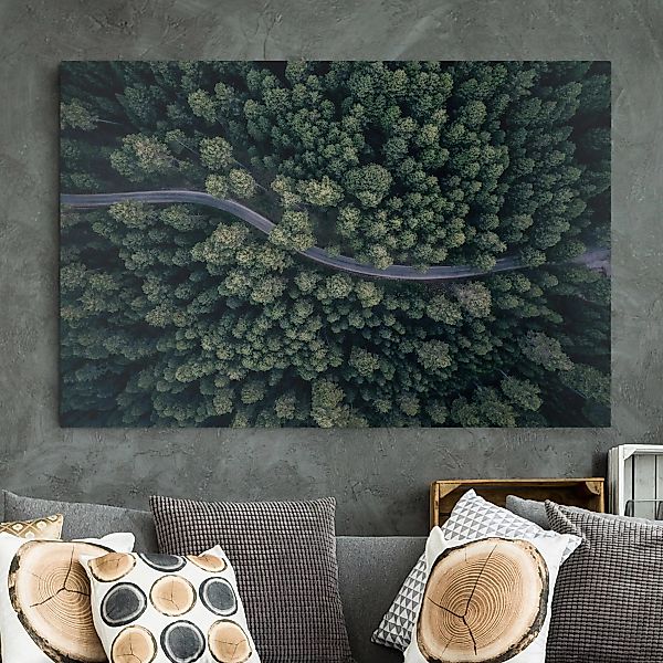 Leinwandbild Wald - Querformat Luftbild - Waldstraße von Oben günstig online kaufen