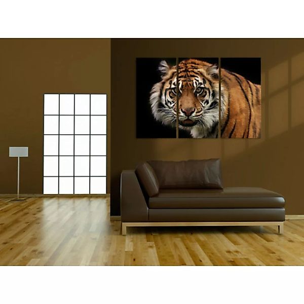 Wandbild Wilder Tiger XXL günstig online kaufen