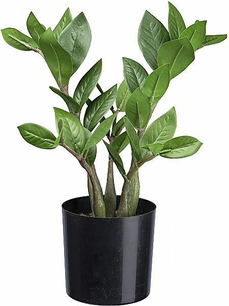Künstliche Zimmerpflanze Zamifolia Grünpflanze, Creativ green, günstig online kaufen