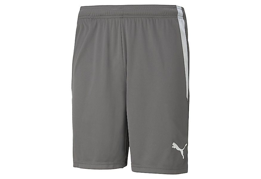 PUMA Sporthose teamLIGA Shorts kurz grau Herren günstig online kaufen