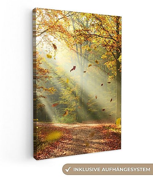 OneMillionCanvasses® Leinwandbild Wald - Bäume - Herbst - Sonne - Herbstblä günstig online kaufen