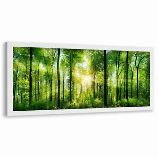 FEEBY® Kunst Sonnenschein Leinwandbilder bunt Gr. 120 x 40 günstig online kaufen