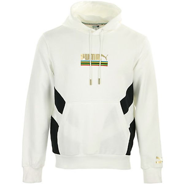 Puma  Sweatshirt TFS Worldhood Hoodie günstig online kaufen