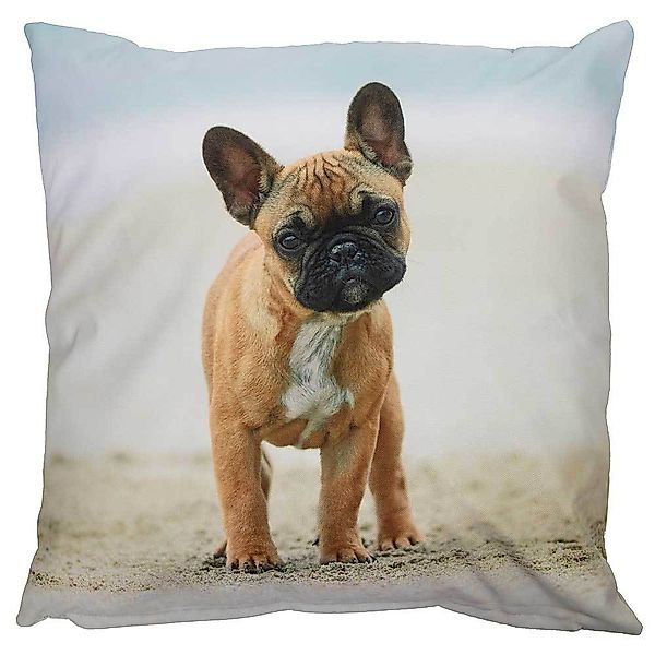 Outdoor Kissen Hundemotiv Dogge Gartenkissen Hund Wasserabweisend 40 x 40 c günstig online kaufen