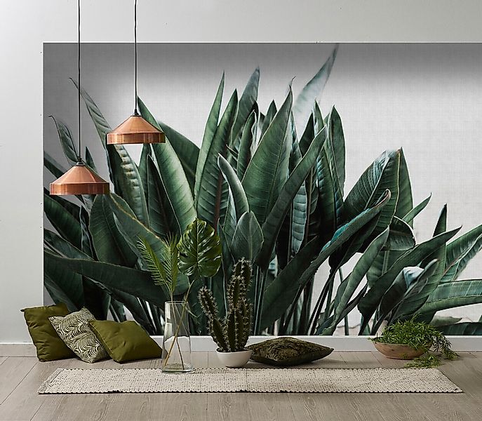 living walls Fototapete "Walls by Patel Urban Jungle 2" glatt Vlies, Wand, günstig online kaufen