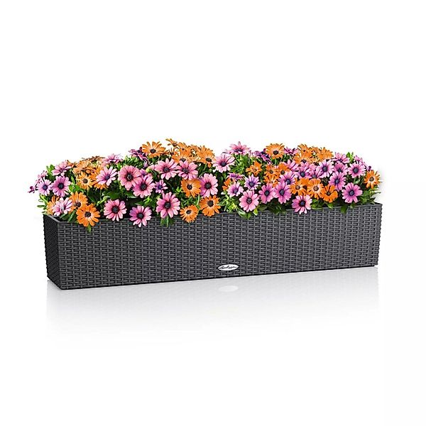 Lechuza® Balkonkasten Balconera Cottage 100 granit günstig online kaufen