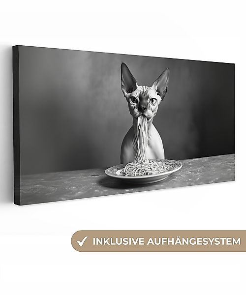 OneMillionCanvasses® Leinwandbild Panorama Sphynx - Katze günstig online kaufen