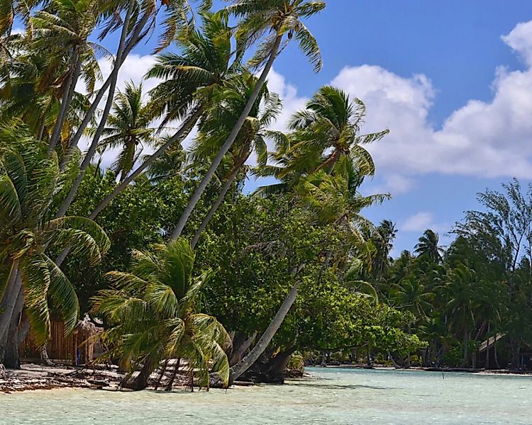 Fototapete "Tahiti Strnde" 4,00x2,50 m / Glattvlies Perlmutt günstig online kaufen
