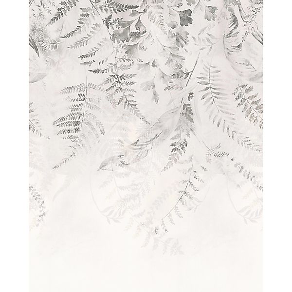Komar Vliestapete »Digitaldruck Vlies - Illuminating Ivy - Größe 200 x 250 günstig online kaufen