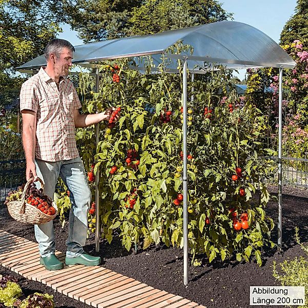 Beckmann Pflanzenschutzdach Modell 2, BxTxH: 150 x 100 x 180 cm, höhenverst günstig online kaufen