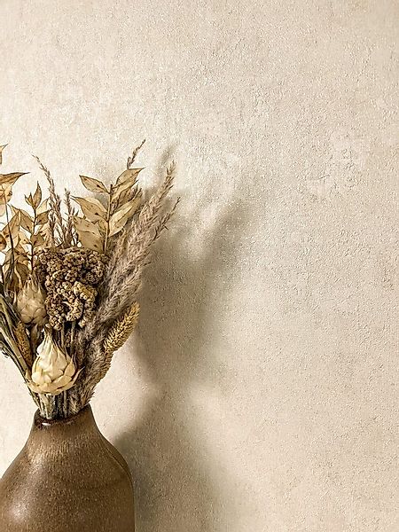 Newroom Vliestapete Damir Beige Tapete Universal Unifarbe,Putz-Optik,Leicht günstig online kaufen