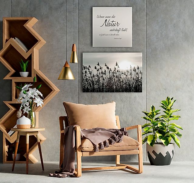 queence Leinwandbild »Natur«, Gräser-Blumen-Blumenbilder-Kunst-Modern-Spa-S günstig online kaufen