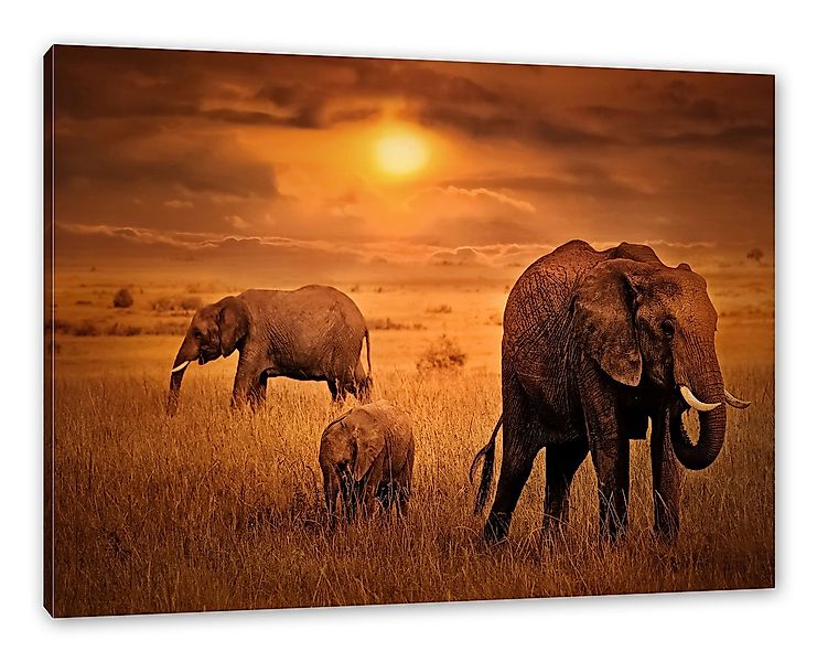Pixxprint Leinwandbild Elefanten in der Savanne, Elefanten in der Savanne ( günstig online kaufen