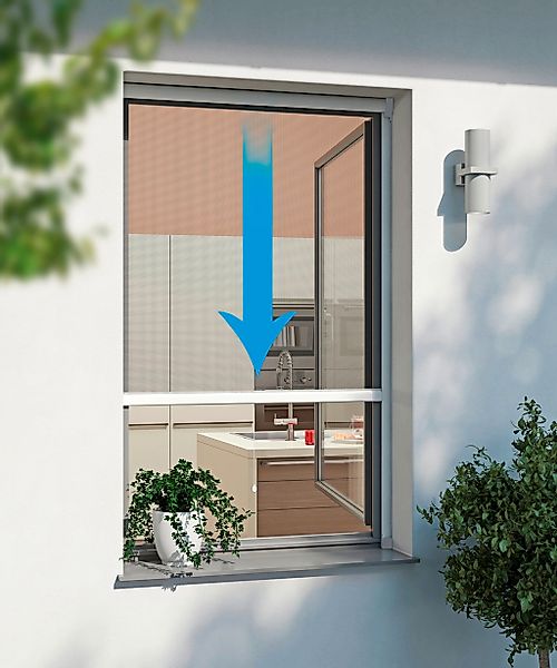 Windhager Insektenschutzrollo "RHINO" transparent BxH: 130x160 cm günstig online kaufen