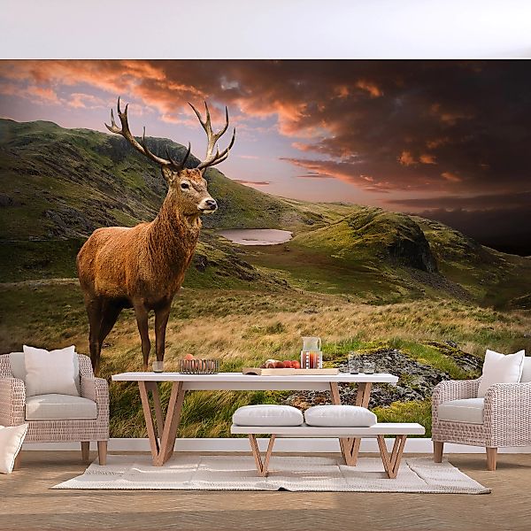 Selbstklebende Fototapete - Deer on Hill günstig online kaufen