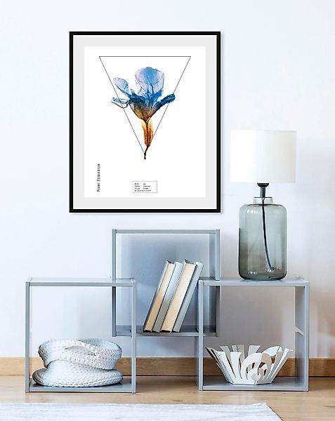 queence Bild "Iris", Pflanzen-Pflanzenbilder-Schriftzug, (1 St.), HD Premiu günstig online kaufen