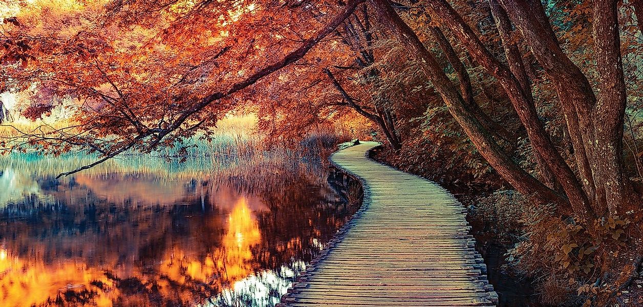 Levandeo® Leinwandbild, XXL Wandbild 115x55cm Leinwand Herbstfarben Wald He günstig online kaufen