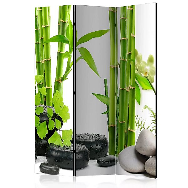 3-teiliges Paravent - Bamboos And Stones [room Dividers] günstig online kaufen