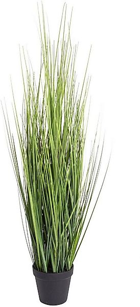 Kunstgras Gras Festuca Gras, Botanic-Haus, Höhe 86 cm günstig online kaufen