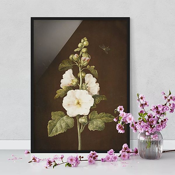 Bild mit Rahmen Blumen - Hochformat Barbara Regina Dietzsch - Stockrose günstig online kaufen