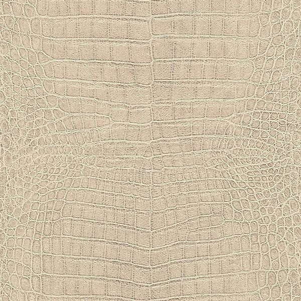 Rasch Vliestapete African Queen III Krokodil Hellbeige 10,05 x 0,53 m günstig online kaufen
