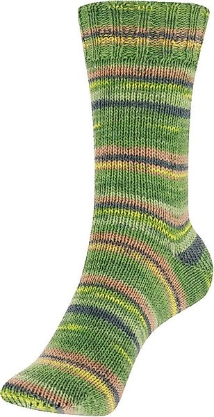 Austermann Haussocken Stricksocken Step EXP 4-fach günstig online kaufen