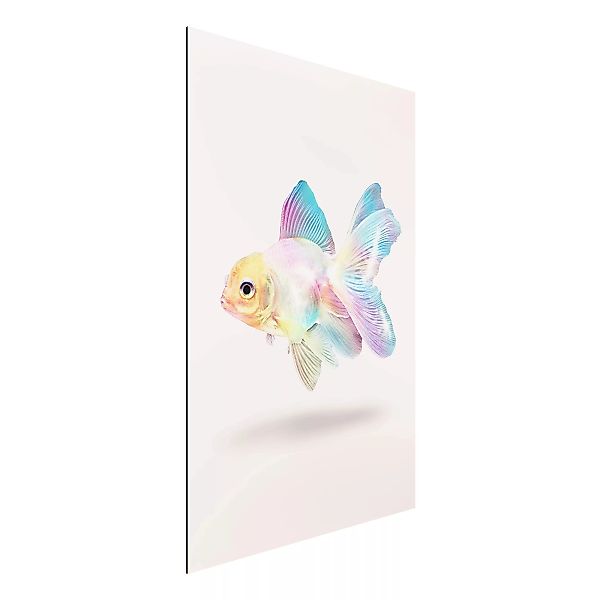 Alu-Dibond Bild Kunstdruck - Hochformat 2:3 Fisch in Pastell günstig online kaufen