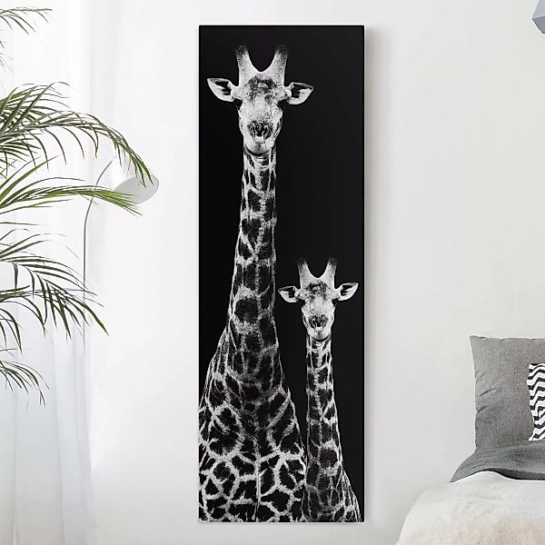 Leinwandbild Tiere - Hochformat Giraffen Duo schwarz-weiß günstig online kaufen