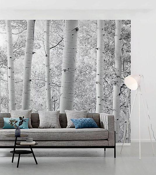 Vlies Fototapete Espenwald 450x280 cm günstig online kaufen