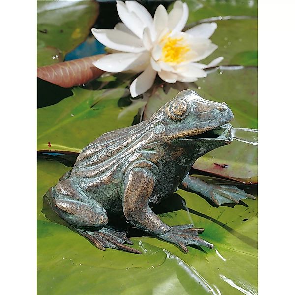 Teichfigur Wasserspeier Frosch Bronze HxBxT 11 x 16 x 13 cm günstig online kaufen
