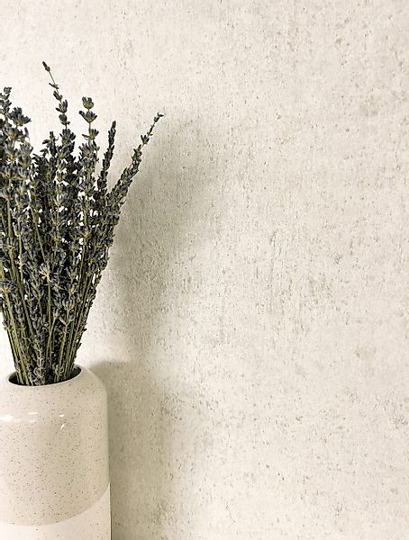 Newroom Vliestapete, Creme Tapete Modern Beton günstig online kaufen