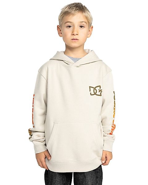 DC Shoes Hoodie Hot Box günstig online kaufen