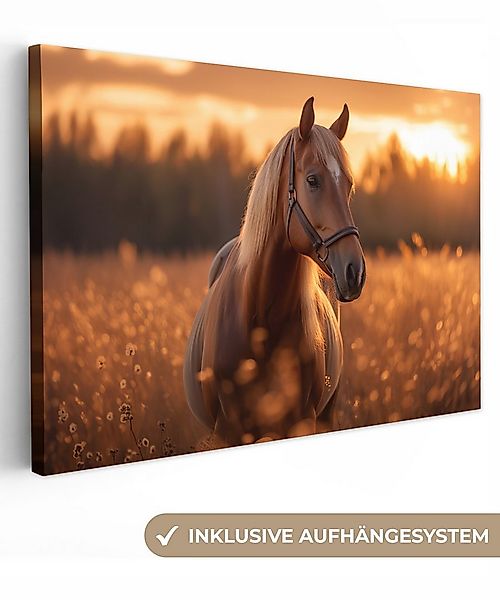 OneMillionCanvasses® Leinwandbild Pferd - Natur - Tier - Braun - Tierporträ günstig online kaufen
