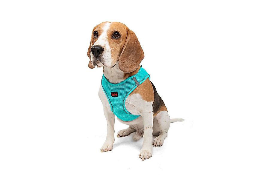 Jumeon Hunde-Geschirr Air Mesh - 3XS-2XS-XS-S GROßE, Strapazierfähig & lang günstig online kaufen