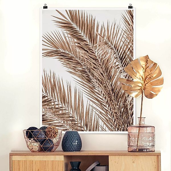 Poster Bronzefarbene Palmenwedel günstig online kaufen