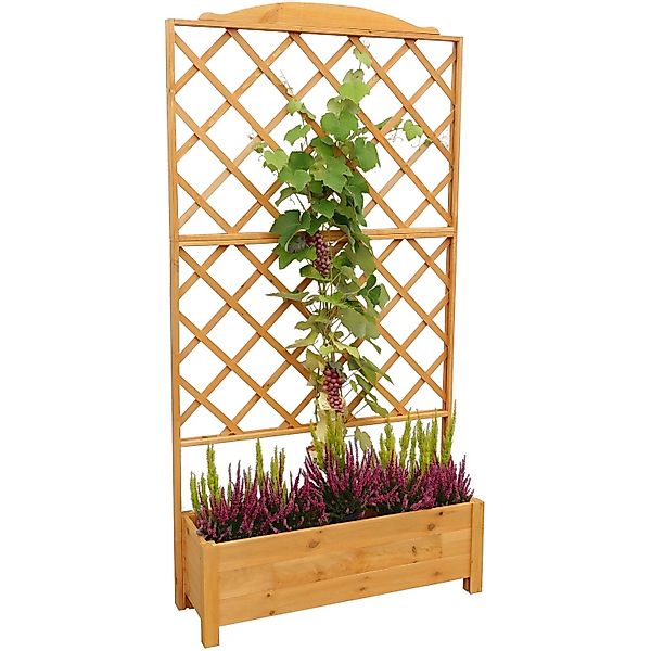 Pflanzkasten Botanica mit Spalier 210 cm x 110 cm x 32 cm günstig online kaufen