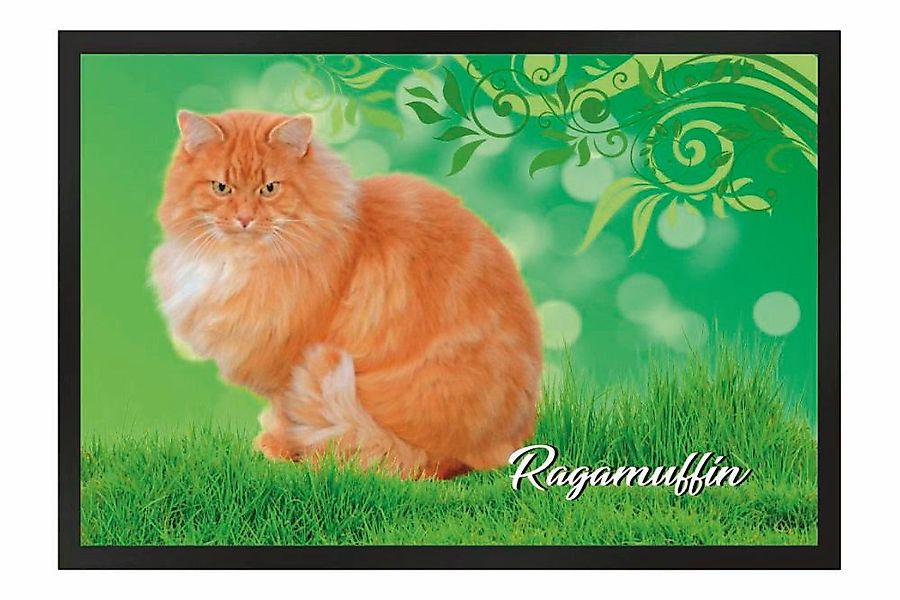 Ladreas Fußmatte Schmutzfangmatte Katze Rassekatze RagaMuffin günstig online kaufen