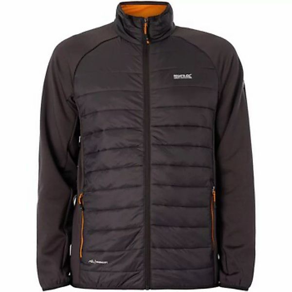 Regatta  Jacken Clumber Hybrid Jacke günstig online kaufen