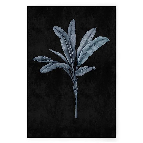 Bricoflor Bild Im Botanik Stil Leinwandbild Mit Palme In Schwarz Blau Moder günstig online kaufen